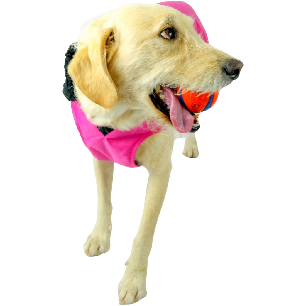 2026 Dryrobe Dog Coat V3DRDC - Pink / Black